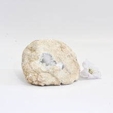 Load image into Gallery viewer, Clear quartz crystal geode pair | ASH&amp;STONE Crystals Shop Auckland NZ
