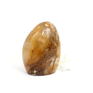 Golden healer crystal free form | ASH&STONE Crystals Shop Auckland NZ