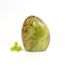 Load image into Gallery viewer, Green opal crystal free form | ASH&amp;STONE Crystals Shop Auckland NZ
