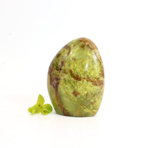 Green opal crystal free form | ASH&STONE Crystals Shop Auckland NZ