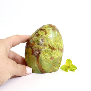 Green opal crystal free form | ASH&STONE Crystals Shop Auckland NZ
