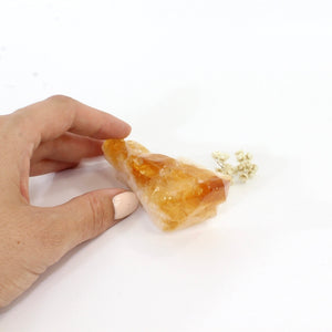 Citrine crystal point | ASH&STONE Crystals Shop Auckland NZCitrine crystal point | ASH&STONE Crystals Shop Auckland NZ