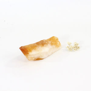 Citrine crystal point | ASH&STONE Crystals Shop Auckland NZ