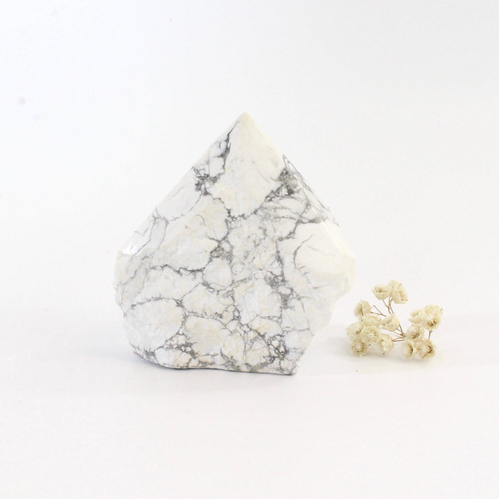 Howlite crystal polished point | ASH&STONE Crystals Shop Auckland NZ