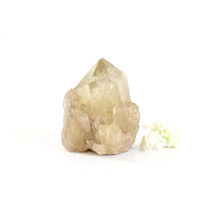 Kundalini Natural Citrine Crystal Cluster - extremely rare | ASH&STONE Crystals Shop Auckland NZ