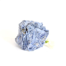 Load image into Gallery viewer, Large kyanite crystal with cut base | ASH&amp;STONE Crystals Shop Auckland NZ

