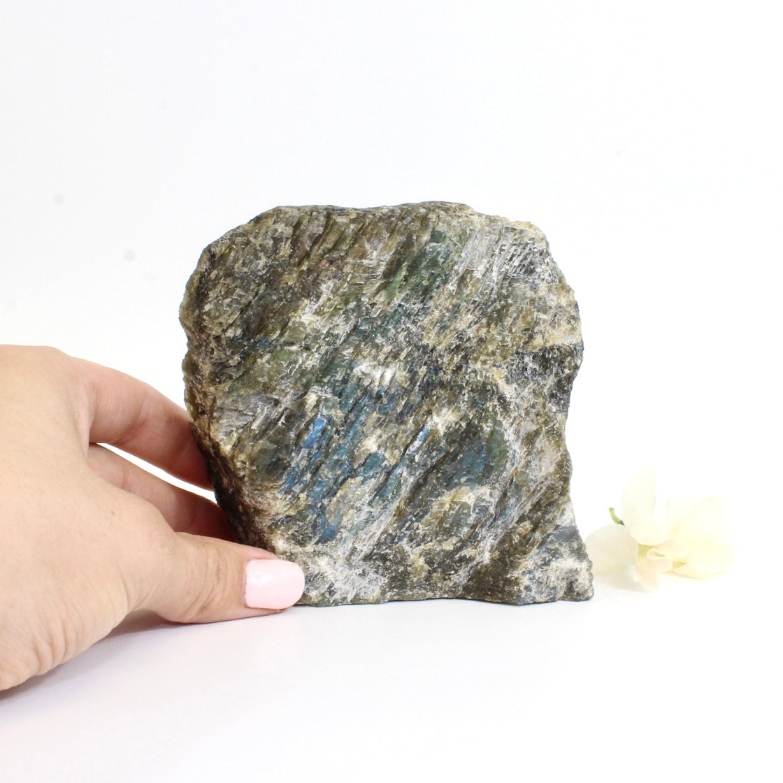 Blue flash labradorite crystal cut base 1.06kg | ASH&STONE Crystals Shop Auckland NZ