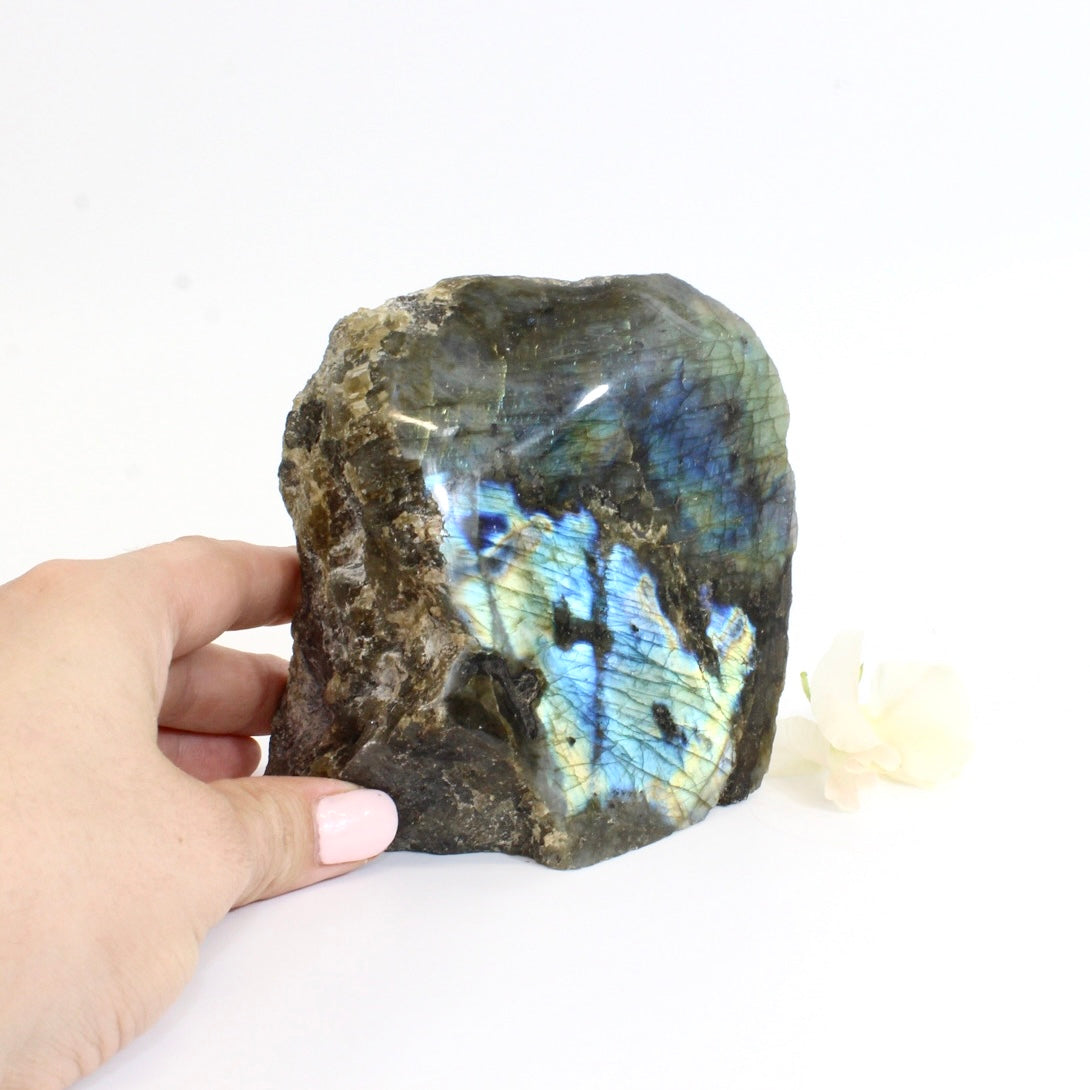 Blue flash labradorite crystal cut base 1.06kg | ASH&STONE Crystals Shop Auckland NZ