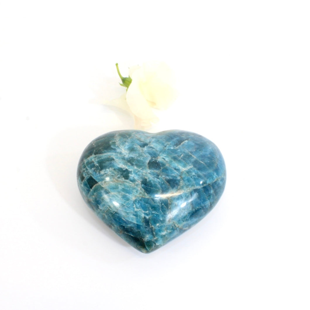 Large blue apatite polished crystal heart | ASH&STONE Crystal Shop Auckland NZ