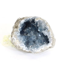 Load image into Gallery viewer, Large celestite crystal geode - 2.89kg | ASH&amp;STONE Crystals Shop Auckland NZ
