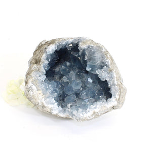 Large celestite crystal geode - 2.89kg | ASH&STONE Crystals Shop Auckland NZ