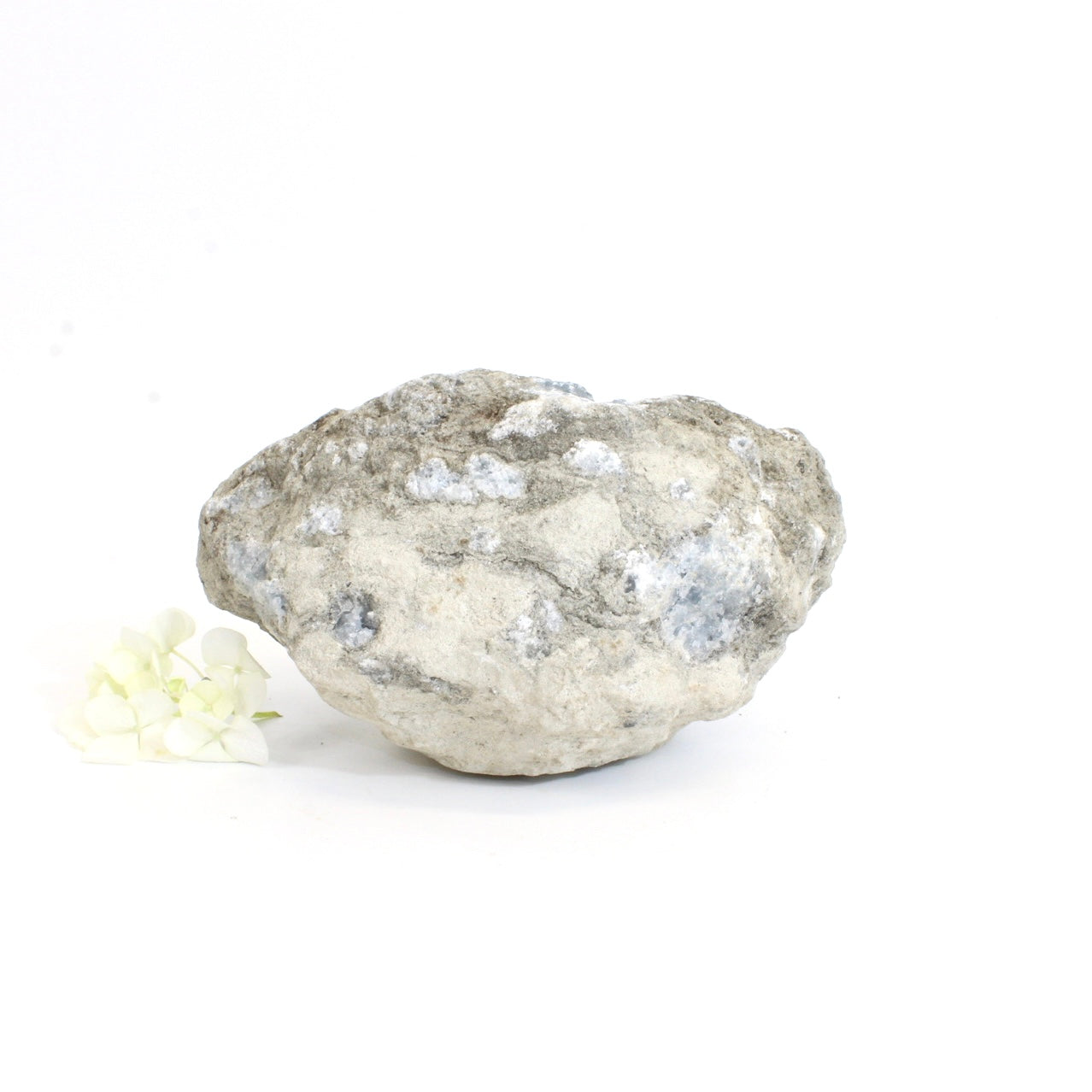 Large celestite crystal geode - 2.89kg | ASH&STONE Crystals Shop Auckland NZ