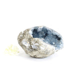Large celestite crystal geode - 2.89kg | ASH&STONE Crystals Shop Auckland NZ