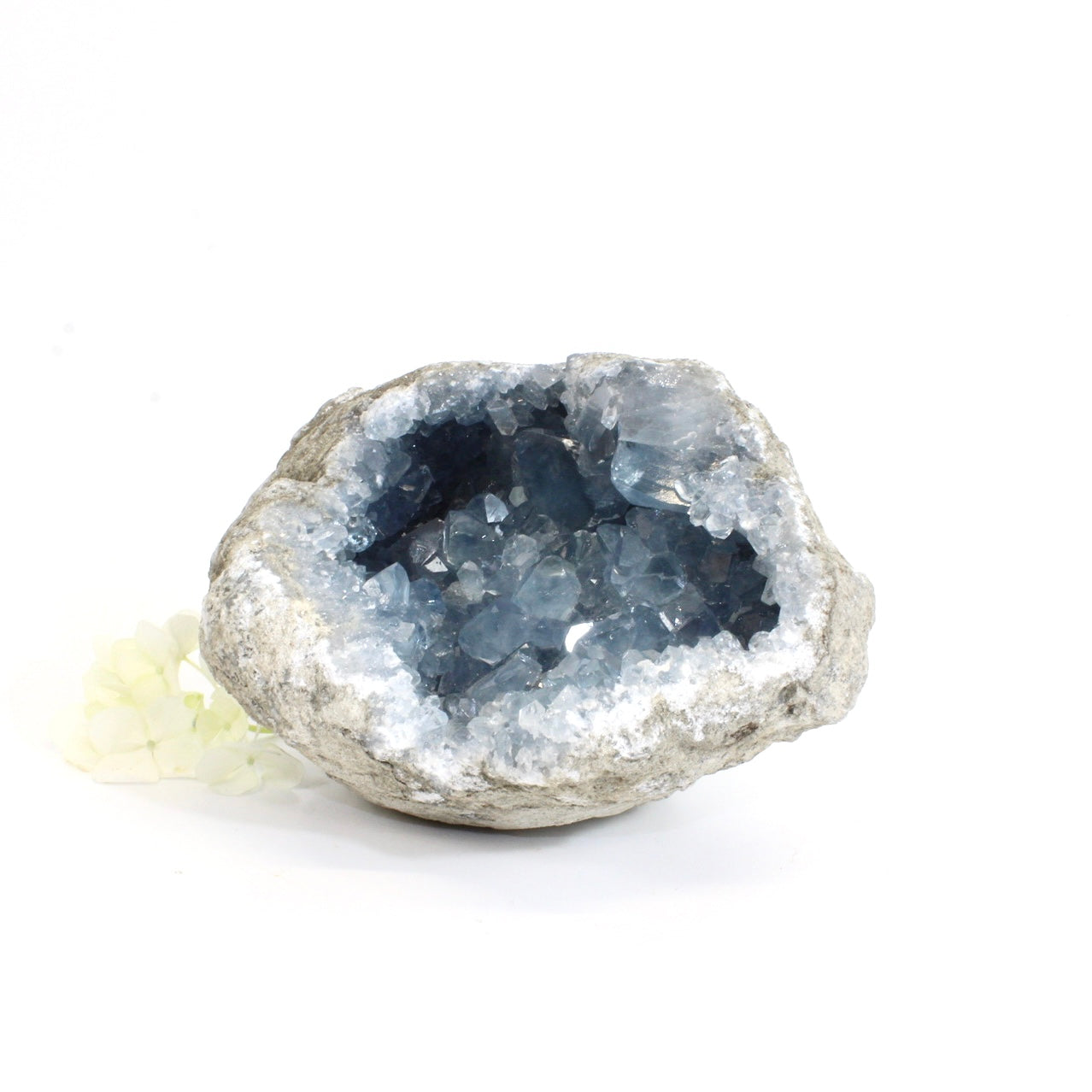 Large celestite crystal geode - 2.89kg | ASH&STONE Crystals Shop Auckland NZ