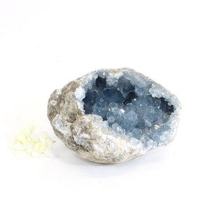 Large celestite crystal geode - 2.89kg | ASH&STONE Crystals Shop Auckland NZ