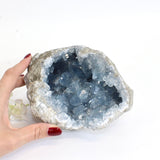 Large celestite crystal geode - 2.89kg | ASH&STONE Crystals Shop Auckland NZ