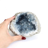Large celestite crystal geode - 2.89kg | ASH&STONE Crystals Shop Auckland NZ