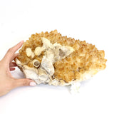 Large citrine crystal cluster 7.19kg | ASH&STONE Crystals Shop Auckland NZ