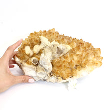 Load image into Gallery viewer, Large citrine crystal cluster 7.19kg | ASH&amp;STONE Crystals Shop Auckland NZ
