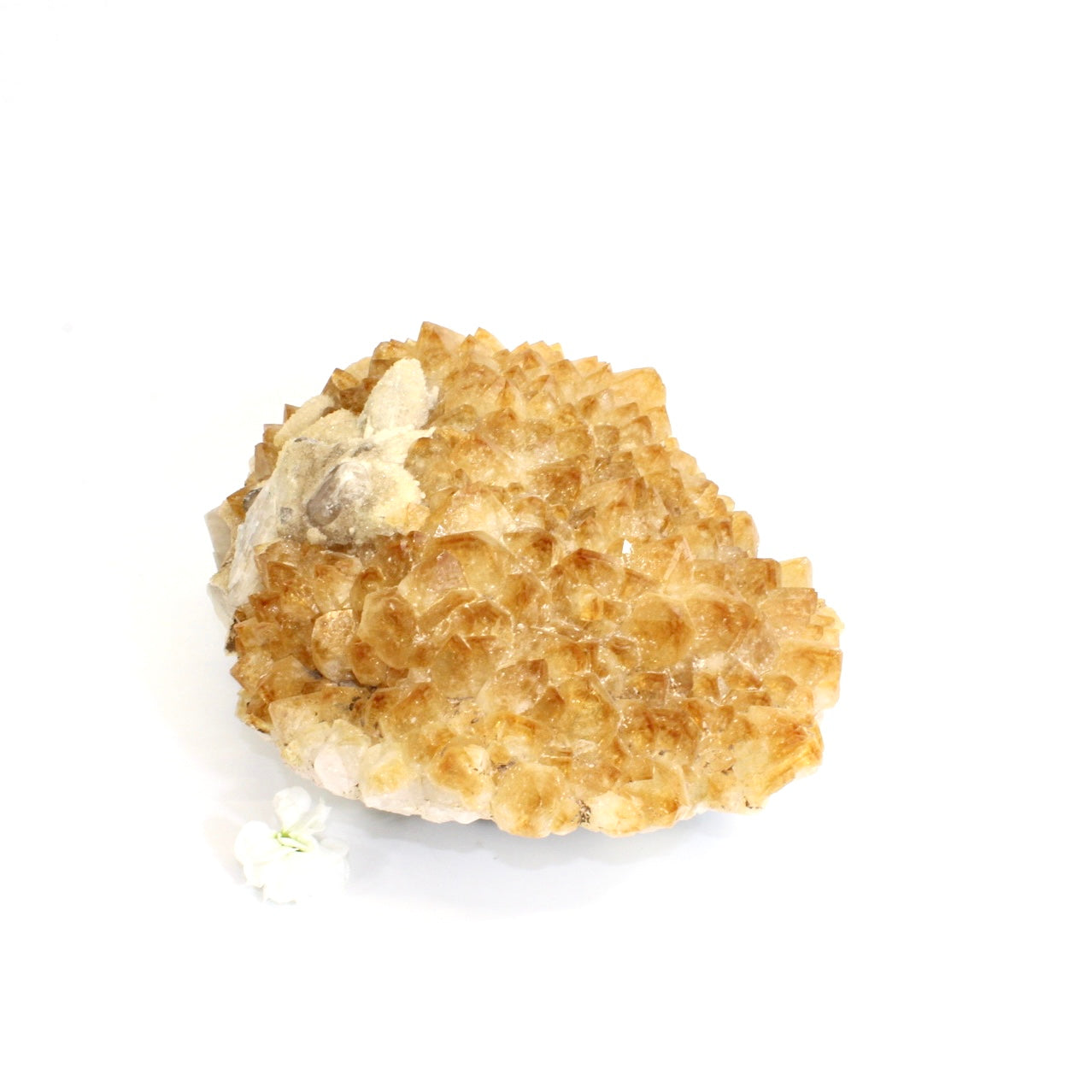 Large citrine crystal cluster 7.19kg | ASH&STONE Crystals Shop Auckland NZ