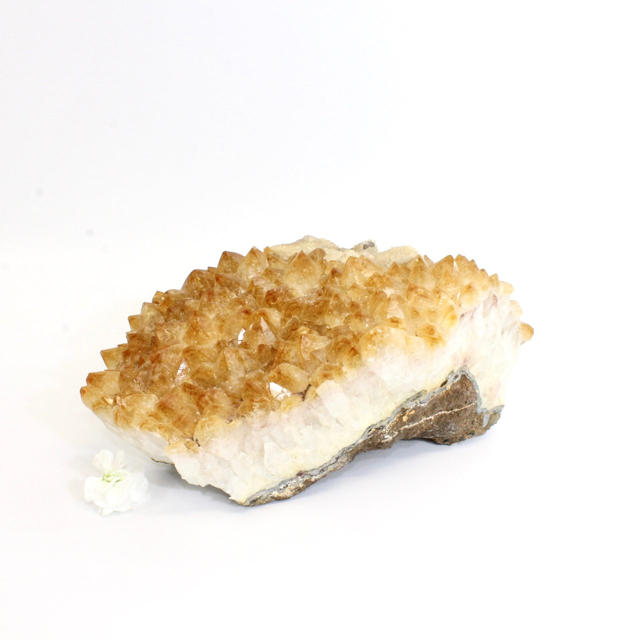 Large citrine crystal cluster 7.19kg | ASH&STONE Crystals Shop Auckland NZ