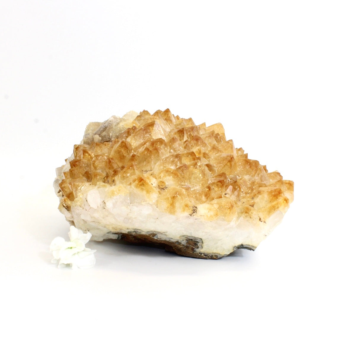 Large citrine crystal cluster 7.19kg | ASH&STONE Crystals Shop Auckland NZ
