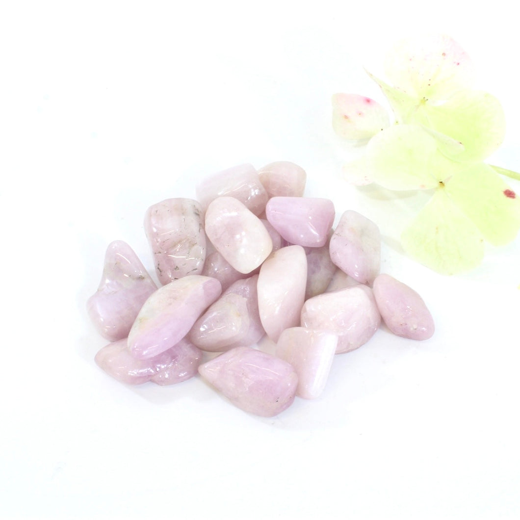 Natural kunzite crystal tumblestone | ASH&STONE Crystals Shop Auckland NZ