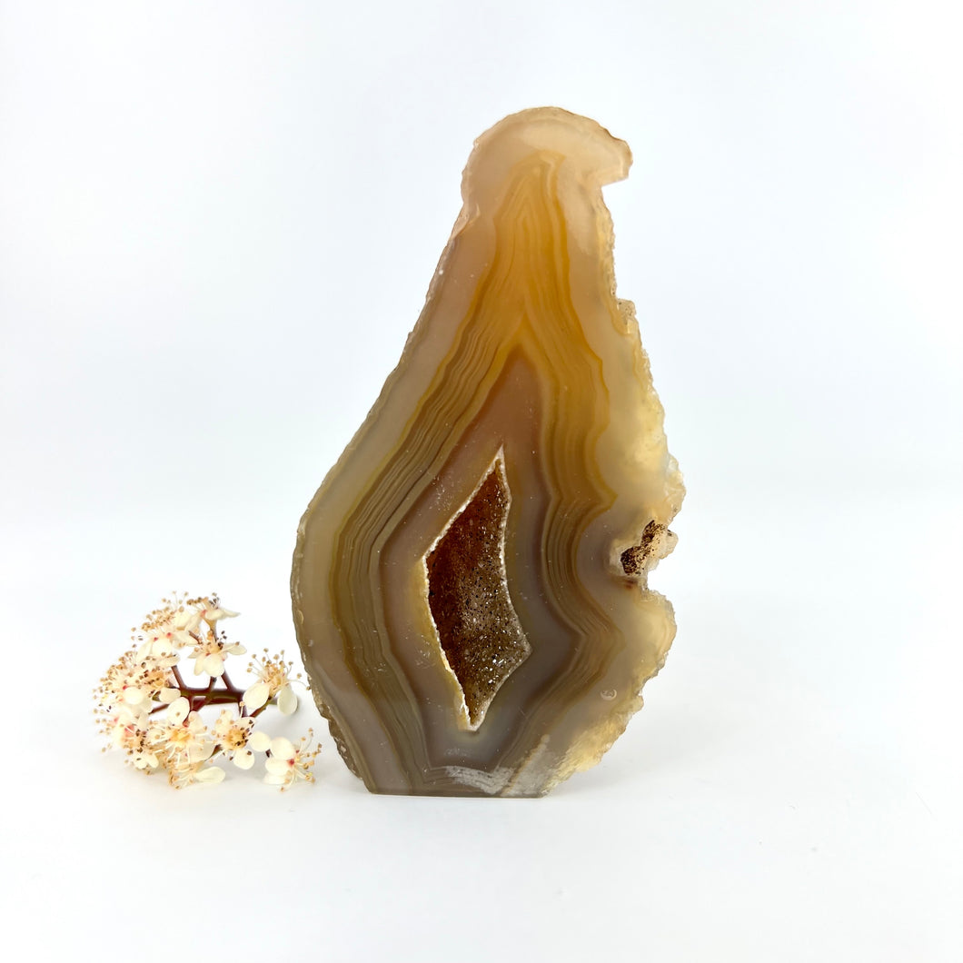 Crystals MNZ: Agate crystal cave