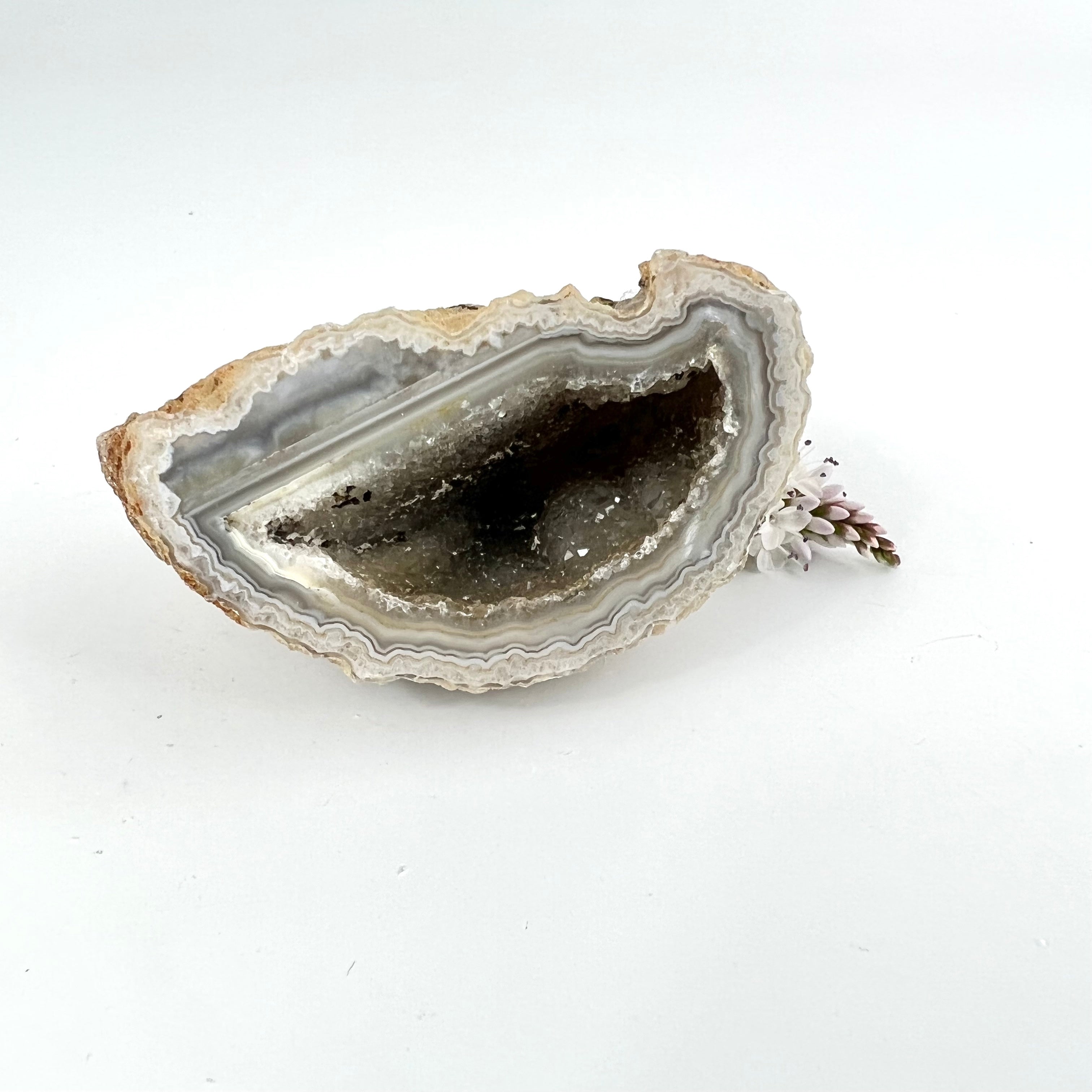 Crystals NZ: Agate crystal geode half