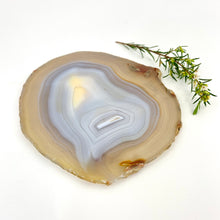 Load image into Gallery viewer, Agate crystal slice
