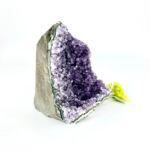 Crystals NZ: Amethyst crystal cluster cut base