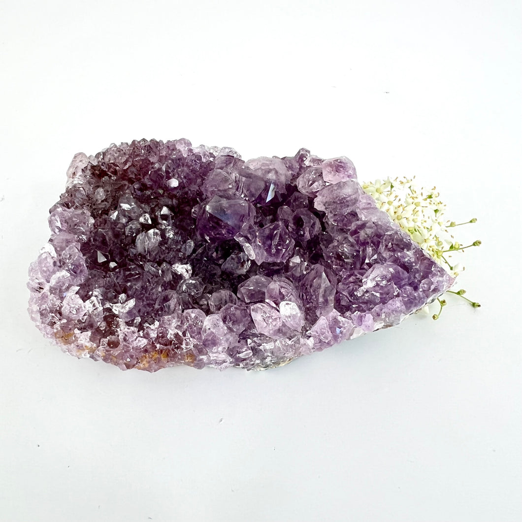 Crystals NZ: Amethyst crystal cluster