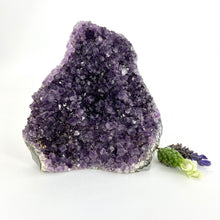 Load image into Gallery viewer, Crystals NZ: Amethyst crystal cluster
