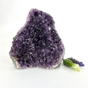 Crystals NZ: Amethyst crystal cluster