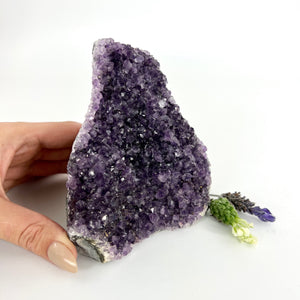 Crystals NZ: Amethyst crystal cluster