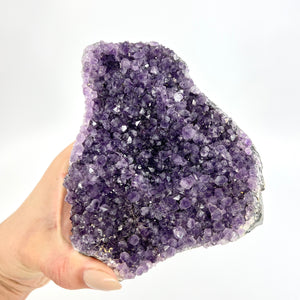 Crystals NZ: Amethyst crystal cluster