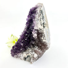 Load image into Gallery viewer, Crystals NZ: Amethyst crystal cluster with cut base
