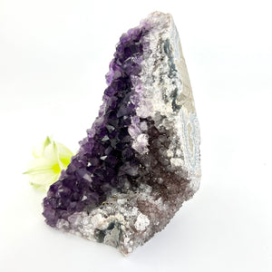 Crystals NZ: Amethyst crystal cluster with cut base