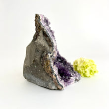 Load image into Gallery viewer, Crystals NZ: Amethyst crystal cluster with cut base
