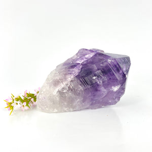 Crystals NZ: Amethyst crystal point
