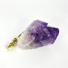 Load image into Gallery viewer, Crystals NZ: Amethyst crystal point

