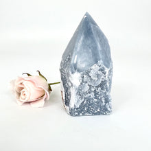 Load image into Gallery viewer, Crystals NZ: Angelite crystal point
