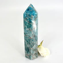 Load image into Gallery viewer, Crystals NZ: Apatite polished crystal generator
