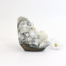 Load image into Gallery viewer, Apophyllite crystal cluster | ASH&amp;STONE Crystals Shop Auckland NZ
