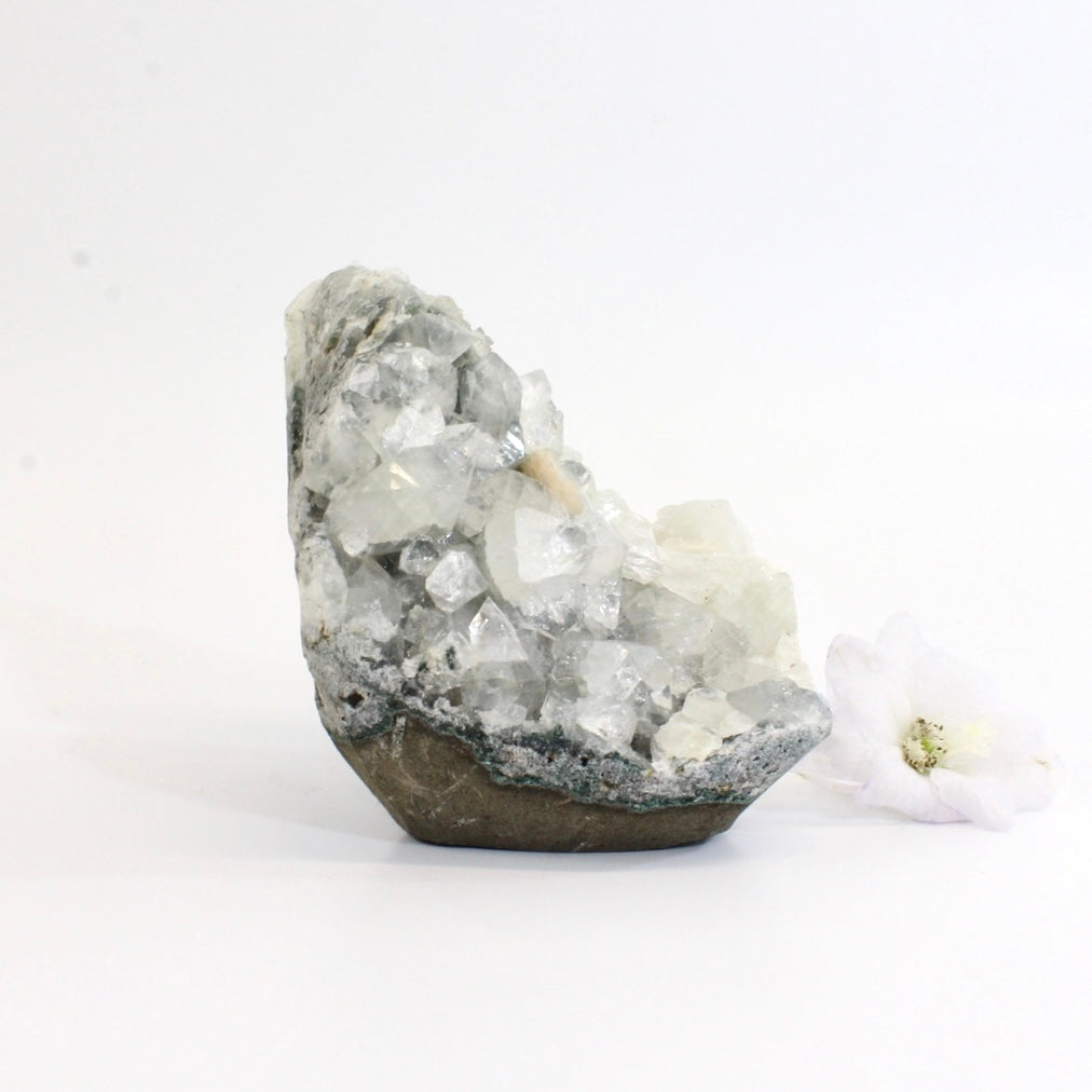 Apophyllite crystal cluster | ASH&STONE Crystals Shop Auckland NZ