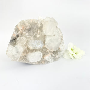 Crystals NZ: Apophyllite crystal cluster