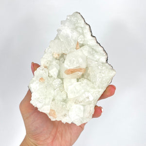 Crystals NZ: Apophyllite crystal cluster with stilbite 