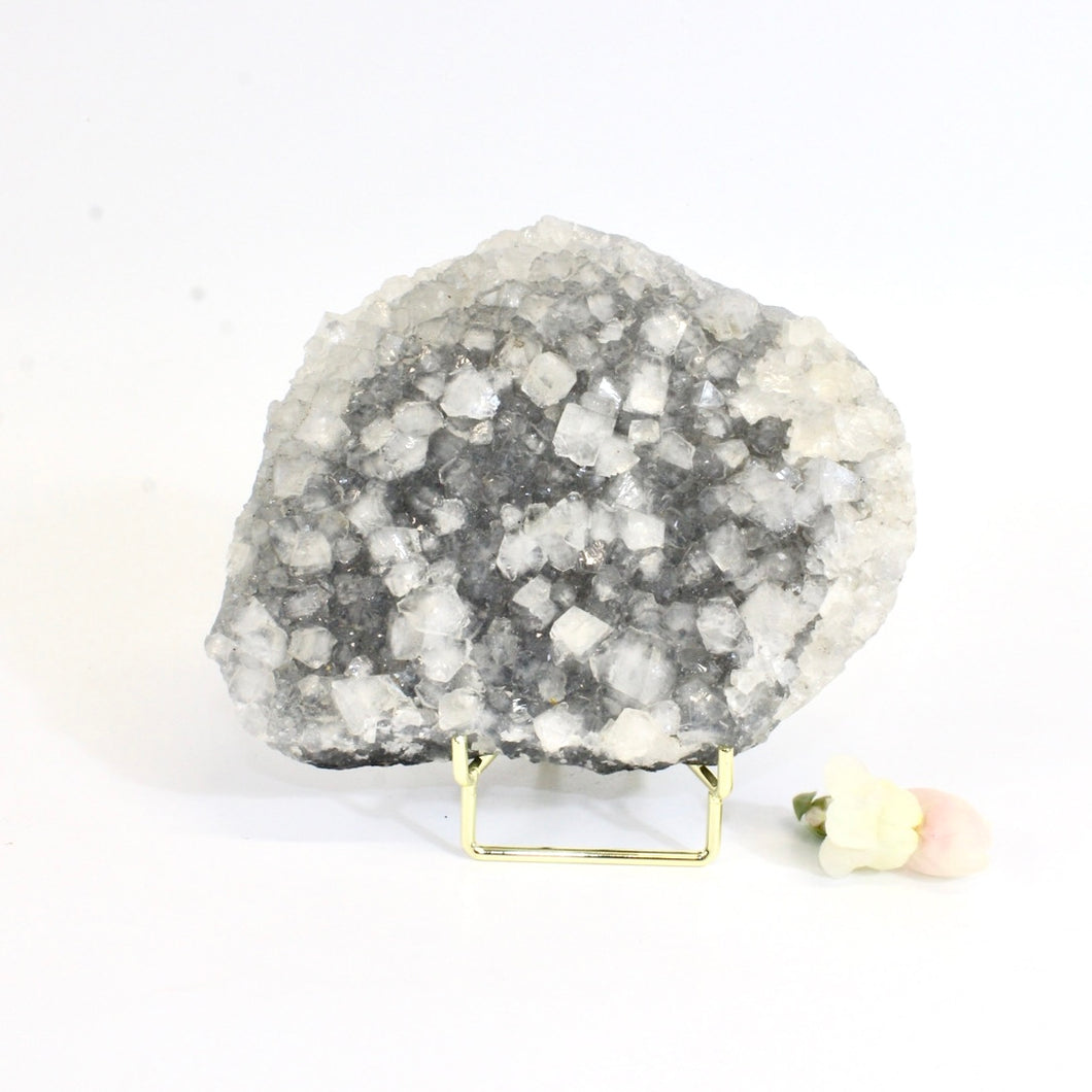 Apophyllite crystal cluster on stand | ASH&STONE Crystals Shop Auckland NZ