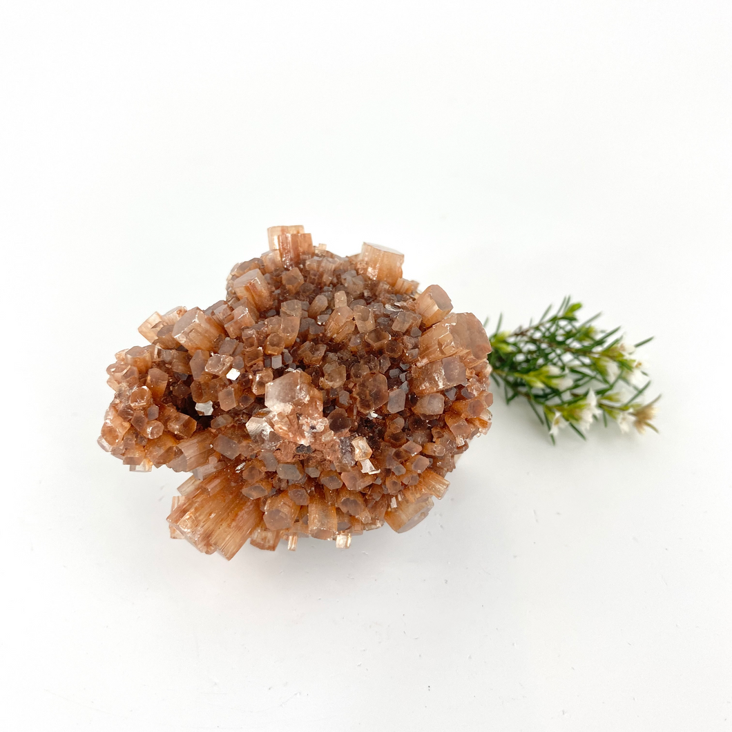 Crystals NZ: Aragonite crystal cluster