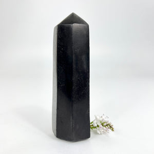 Crystals NZ: Black tourmaline polished crystal generator